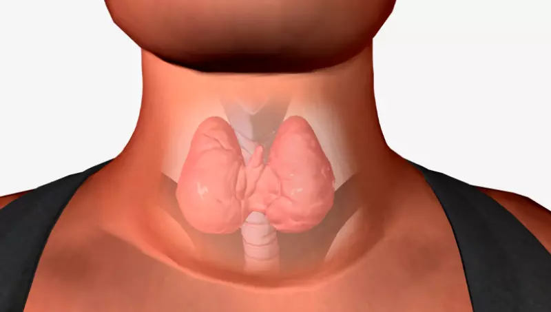 Thyrosurg-cirugías-de-tiroides-precisas-con-tecnología-de-vanguardia-con-más-de-23-años-de-experiencia